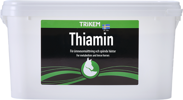 Thiamin 4000g (vitamin b1)