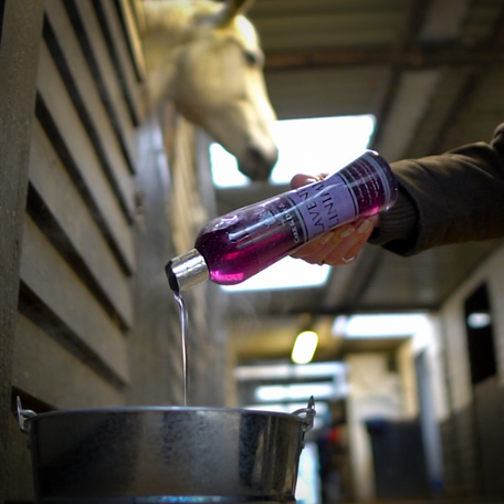 lavendel liniment cdm