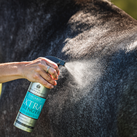 Flygard extra strength insect repellent spray