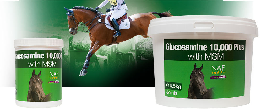 Glucosamine 10,000 plus with MSM