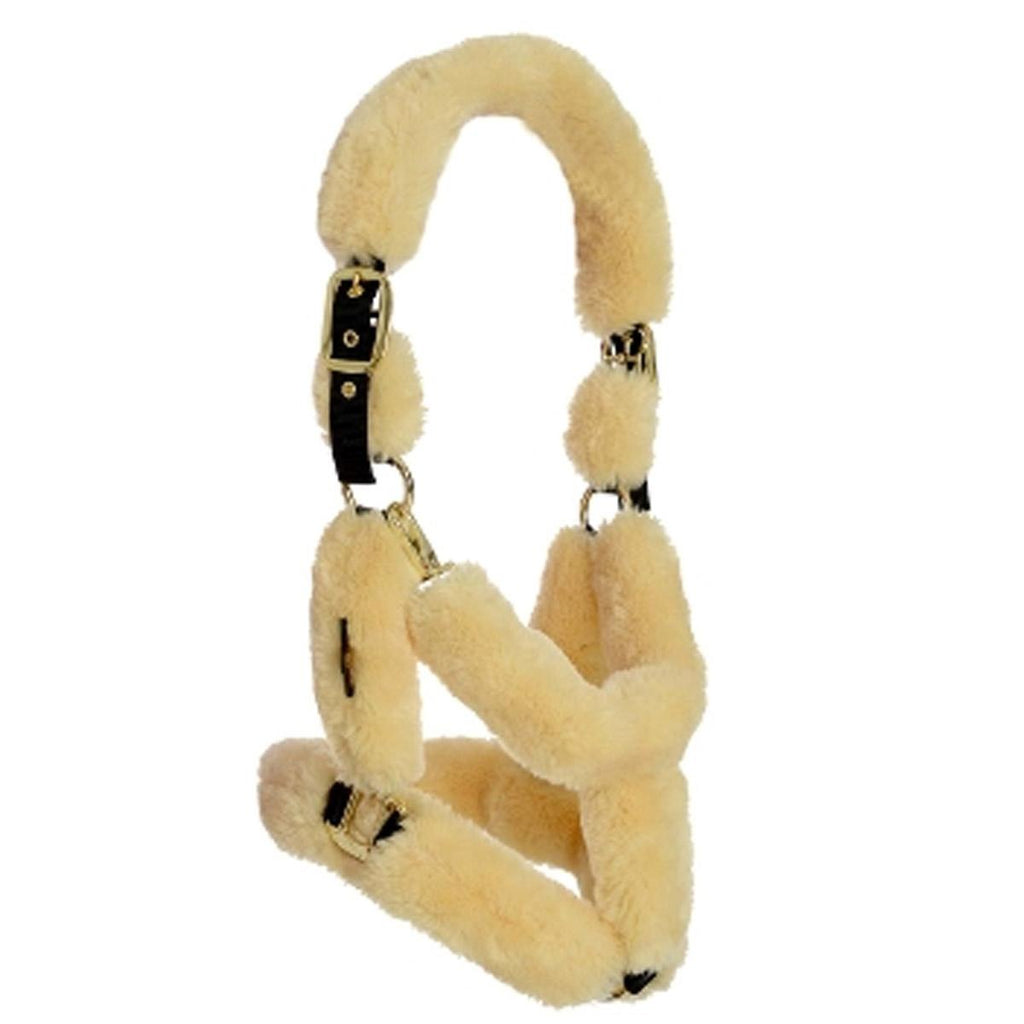 Kentuckuy sheepskin shipping halter