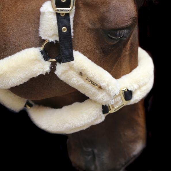 Kentuckuy sheepskin shipping halter