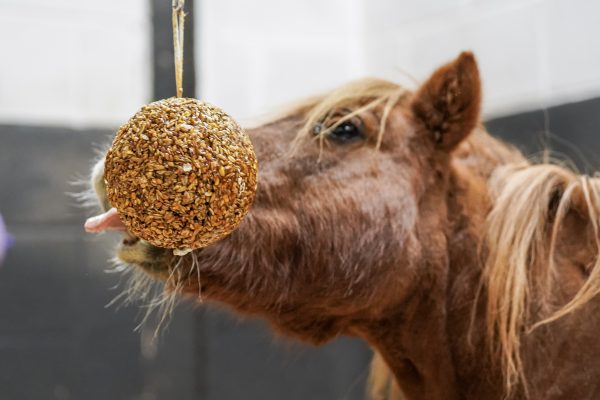 Likit Stall Balls Granola