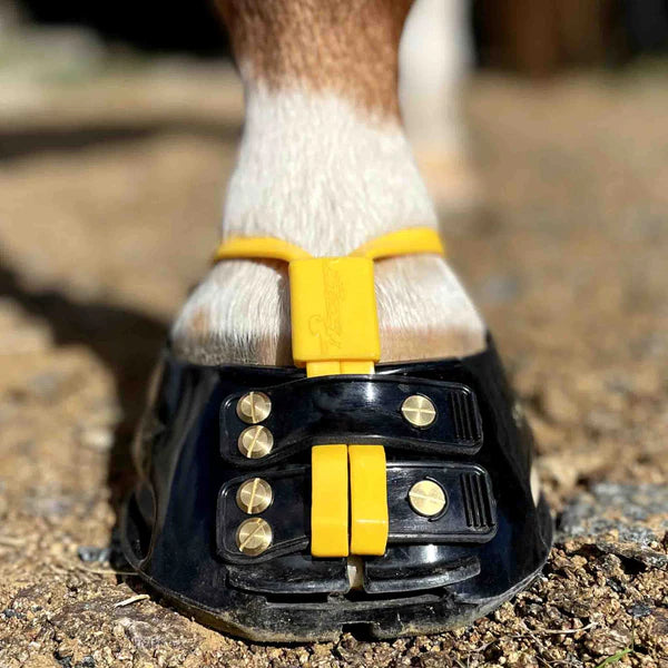 Scoot Boot mud strap