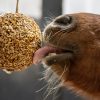 Likit Stall Balls Granola