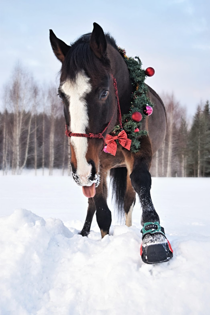 Flex Boots hoof boot