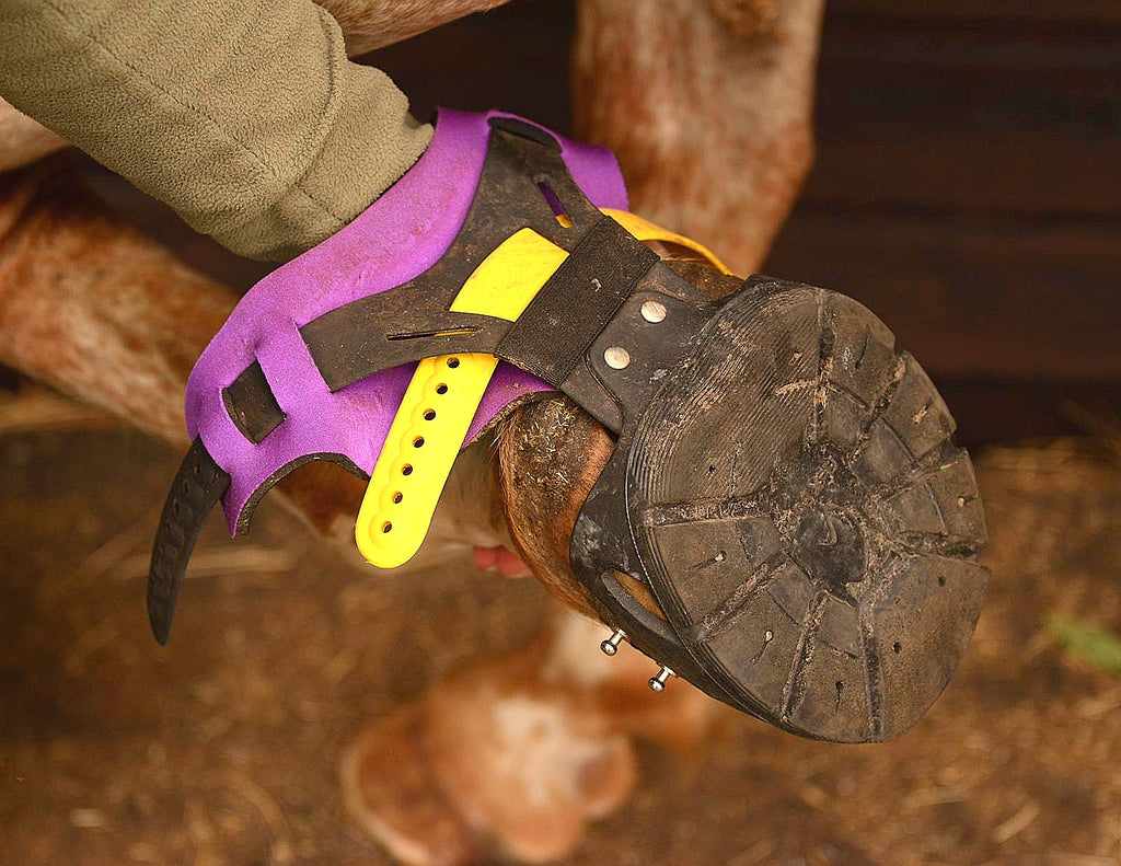 Flex Boots hoof boot
