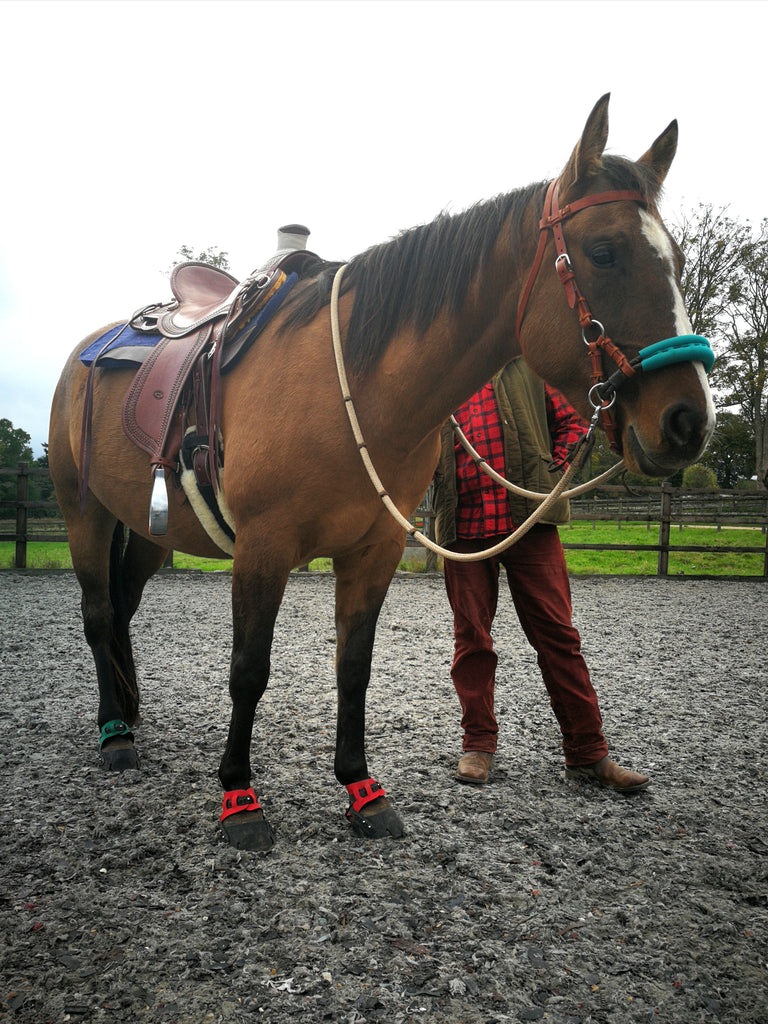 Flex Boots hoof boot