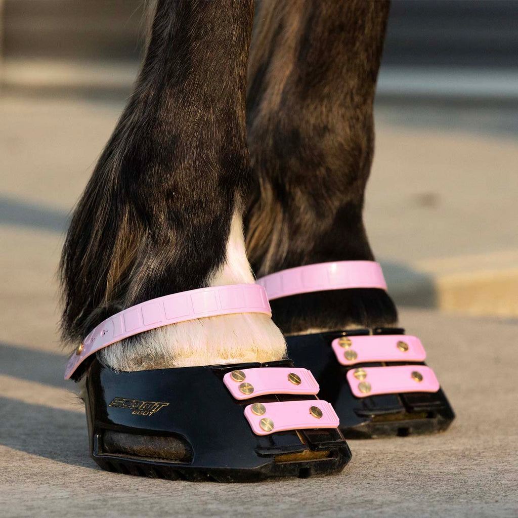 Scoot Boot pastern strap