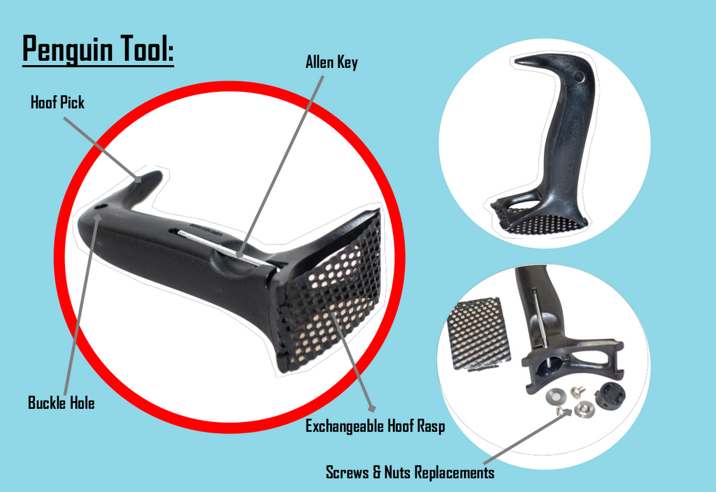 EvoHorse penguin tool