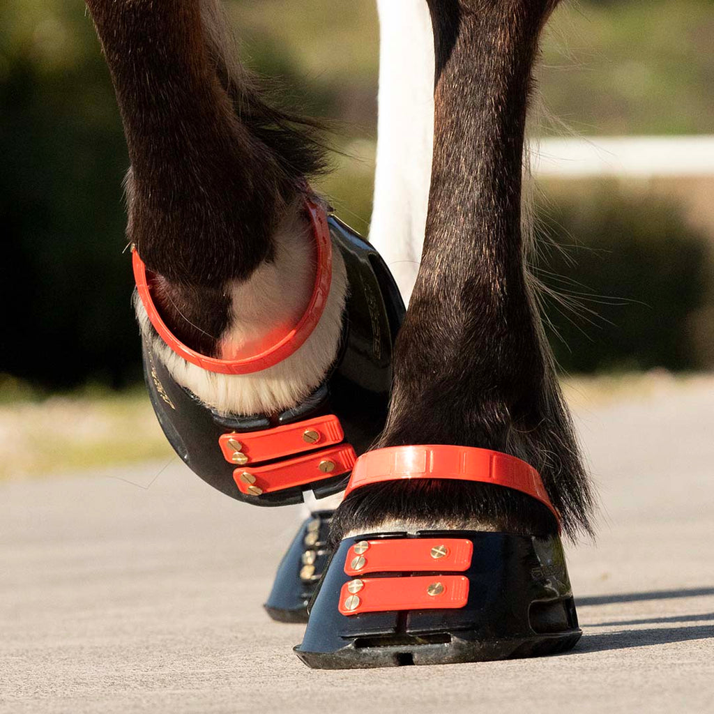 Scoot Boot pastern strap