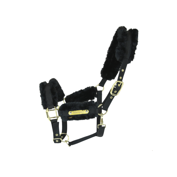 Kentucky nylon sheepskin halter