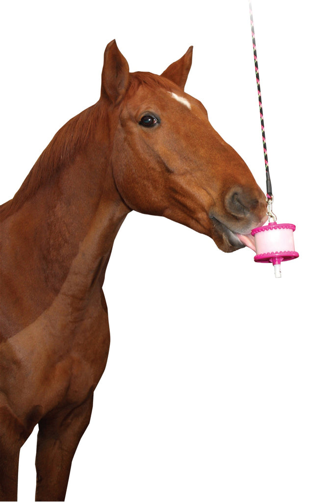Likit holder