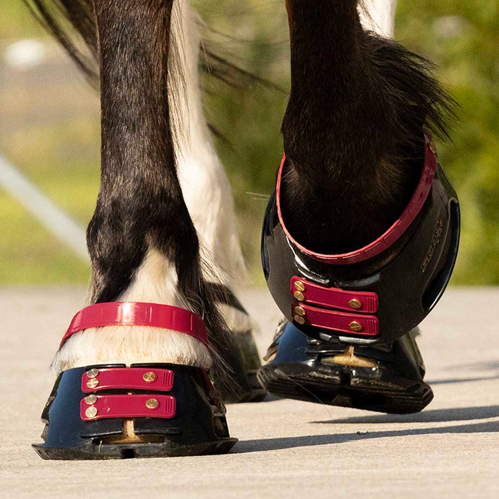 Scoot Boot pastern strap