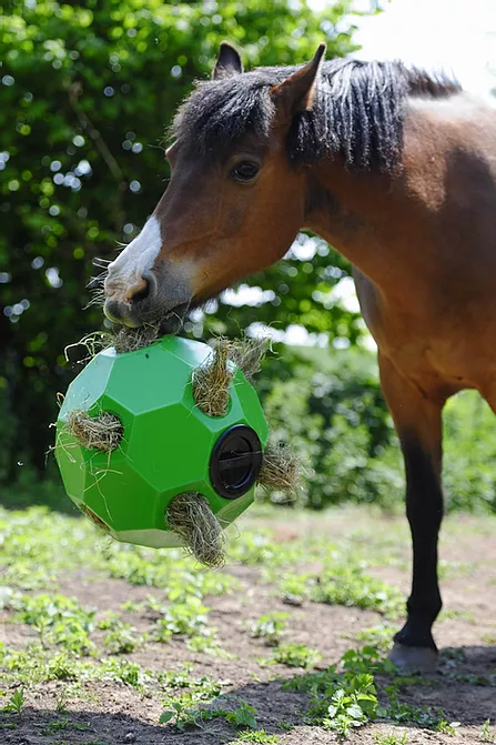 Parallax Hay Play (høyball)