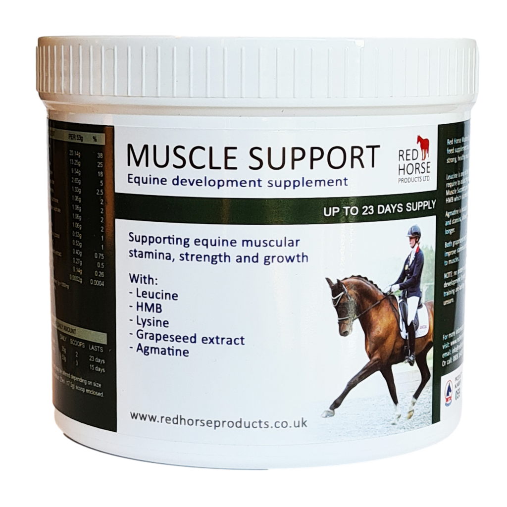 Red Horse Muscle support