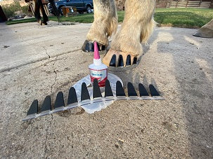 11 Finger Tab med gummi sorte