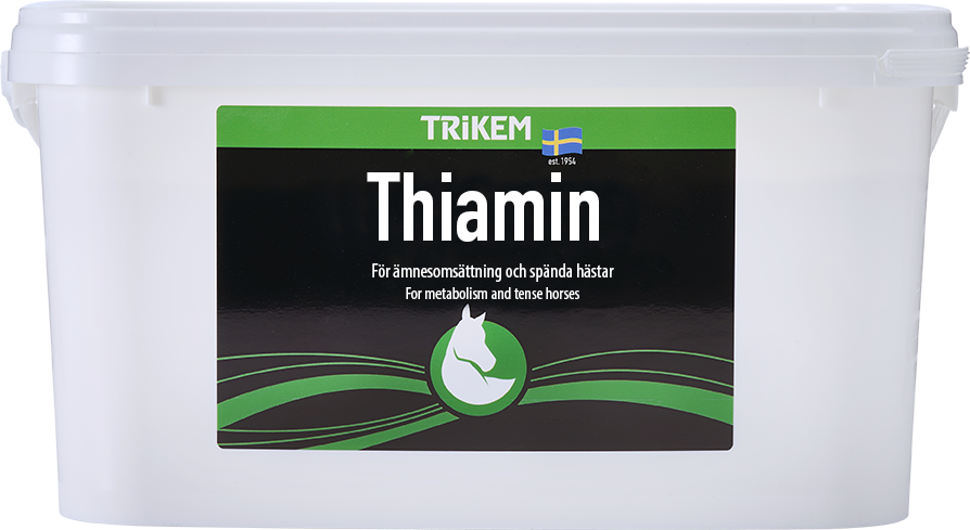 Thiamin 4000g (vitamin b1)