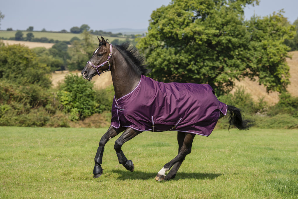 Bucas Freedom turnout fullneck 150g blackberry