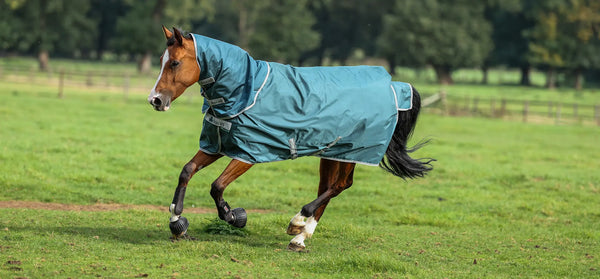 Bucas Atlantic Turnout 200g