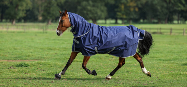 Bucas Freedom Turnout med påmontert nakke 150g