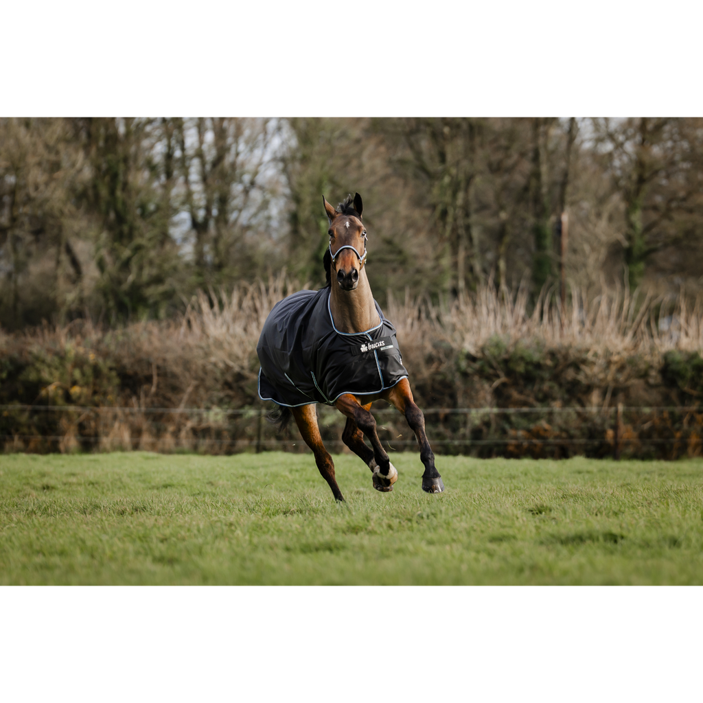 Bucas anniversary turnout 150g med stay dry fôr