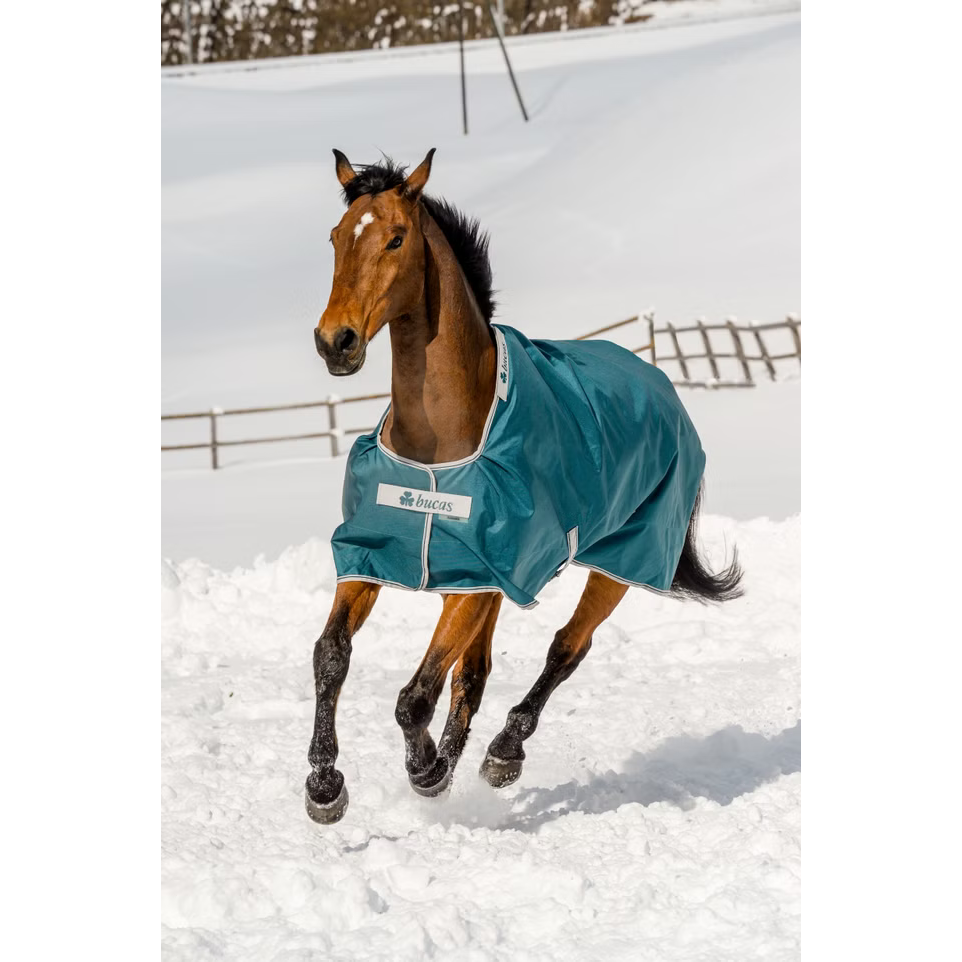 Atlantic Turnout 400g