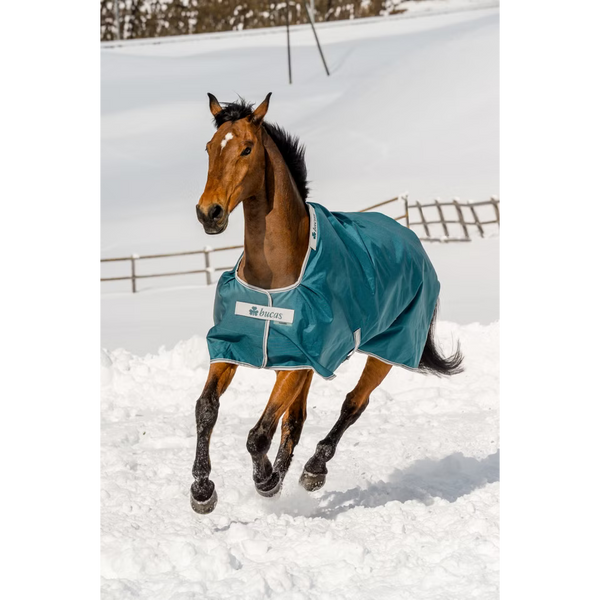 Atlantic Turnout 400g