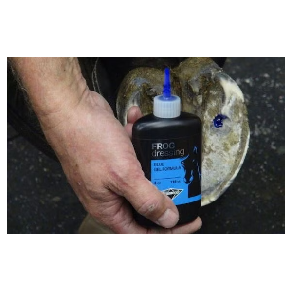 Frog dressing blue gel formula Diamond