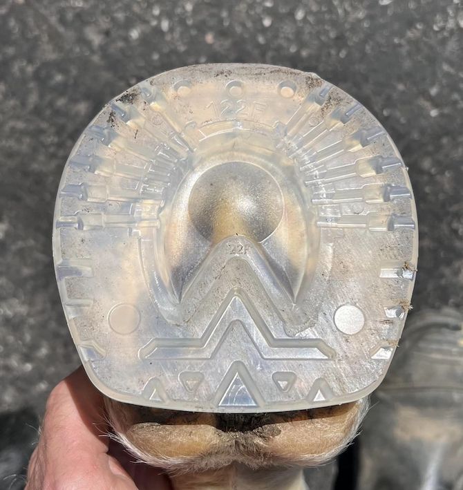 EasyShoe Versa Grip plug