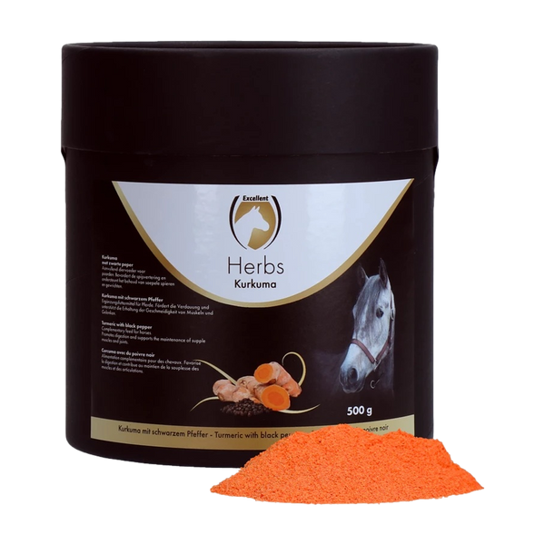 Excellent Herbs Gurkemeie 500g