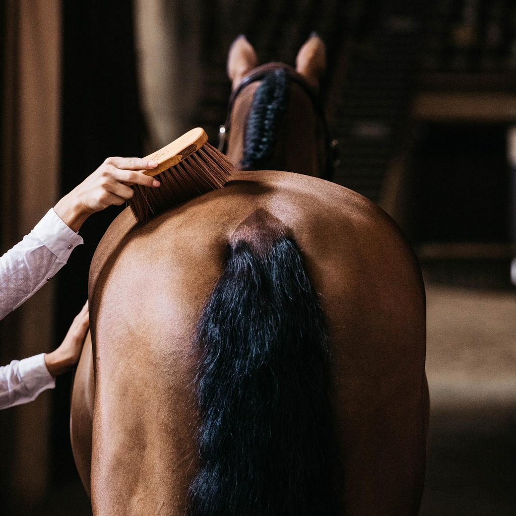 Grooming Deluxe middle brush medium