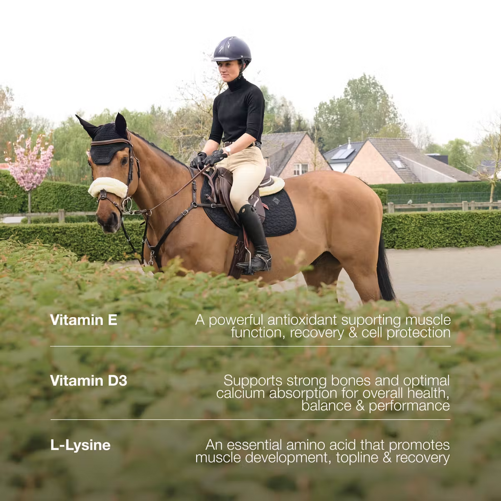 Grooming deluxe Vitamin Booster Vital  12 ml