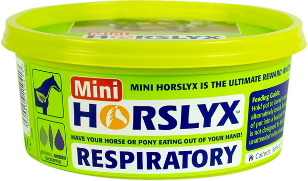 Horslyx respiratory mini 650g
