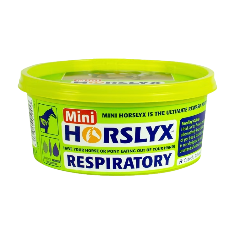 Horslyx respiratory mini 650g