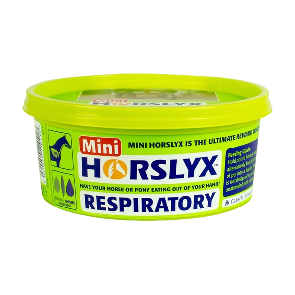 Horslyx respiratory mini 650g