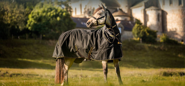 Bucas Irish Turnout neck black/gold 300g