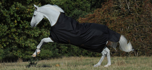 Bucas Irish Turnout black/gold 300g