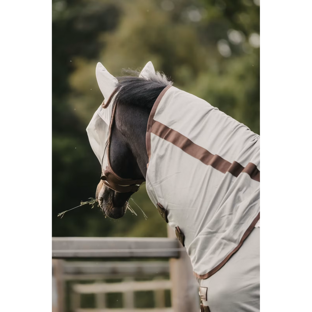 Kentucky Mesh Fly Rug Classic