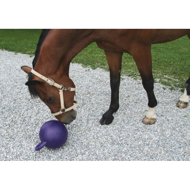Kerbl ball med smak