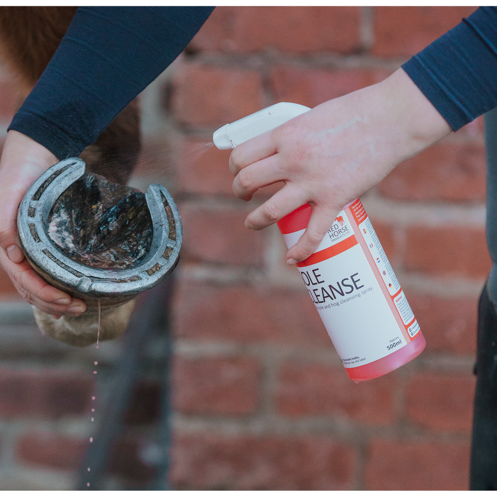 Red Horse sole cleanse