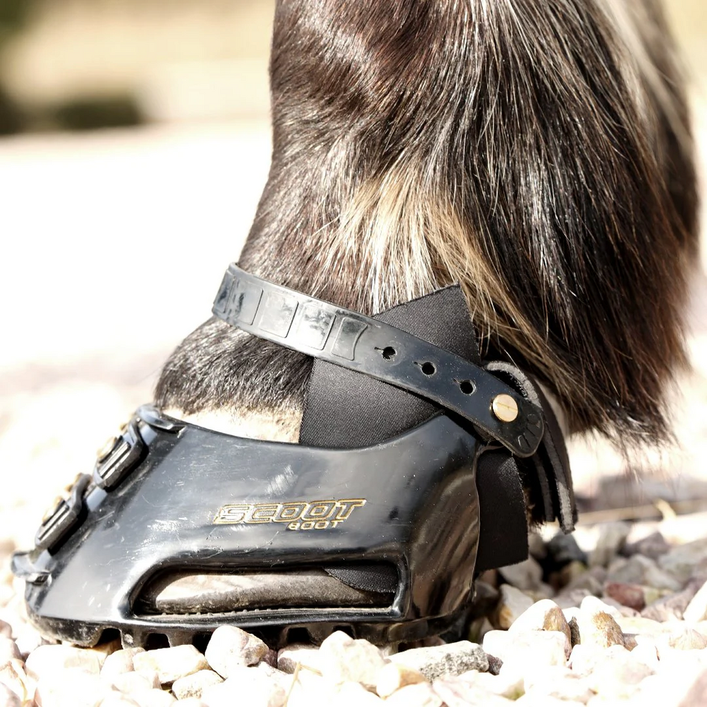 Scoot Boot hybrid gaiter