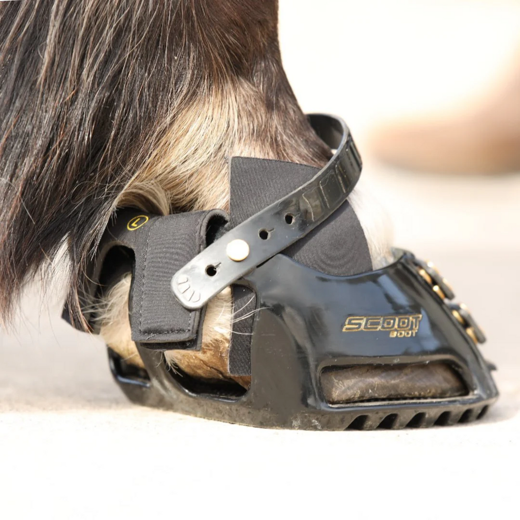 Scoot Boot hybrid gaiter