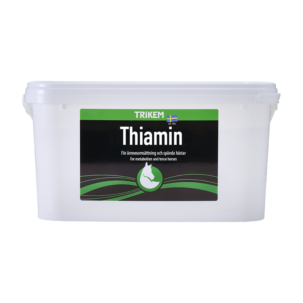 Thiamin 4000g (vitamin b1)