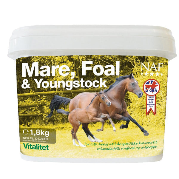 Mare, foal and youngstock