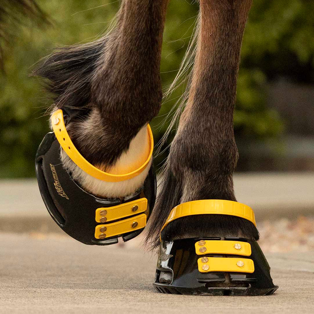 Scoot Boot pastern strap