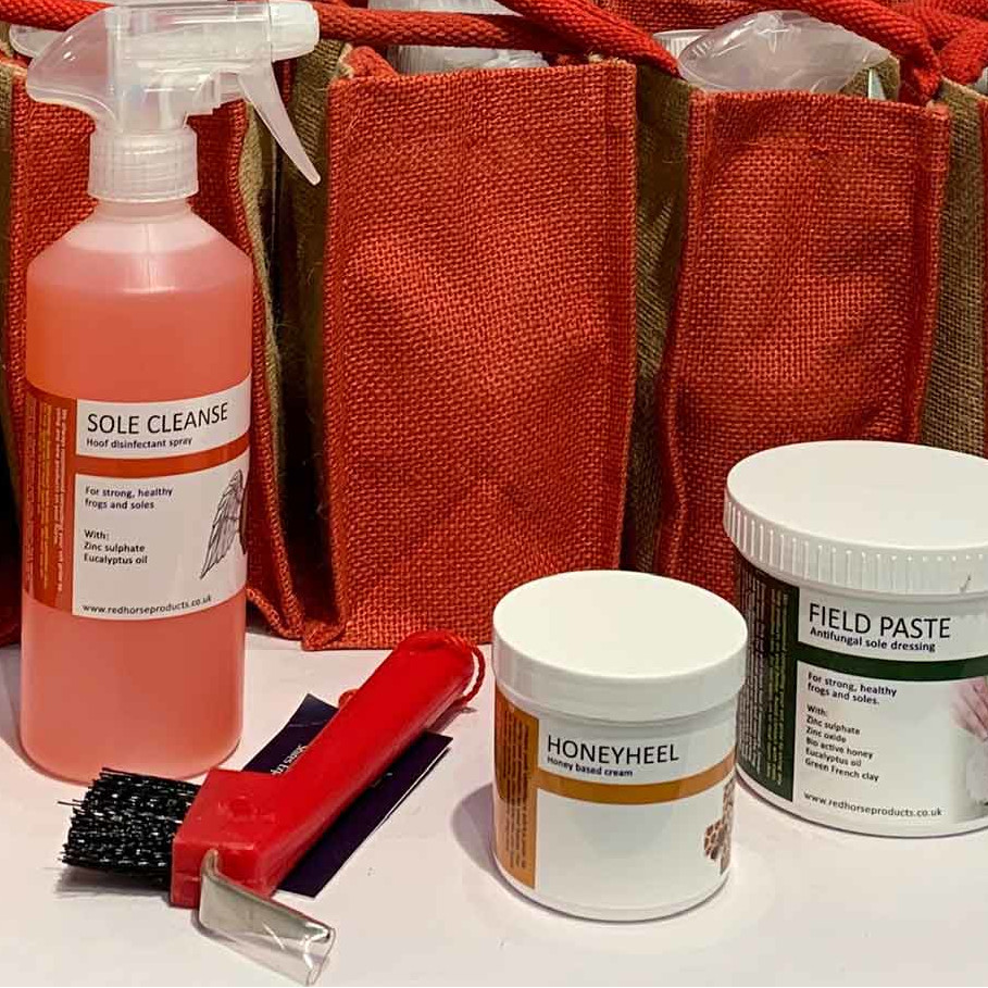 Red Horse winter care kit